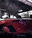 CHINLY Twinkle 954pcs 9.8ft (0.03in+0.04in+0.06in) Car Use RGBW LED Fiber Optic Remote Music Mode Headliner Light Kit+Shooting Stars Engine+Adapter+Cigarette Lighter for Car/Room