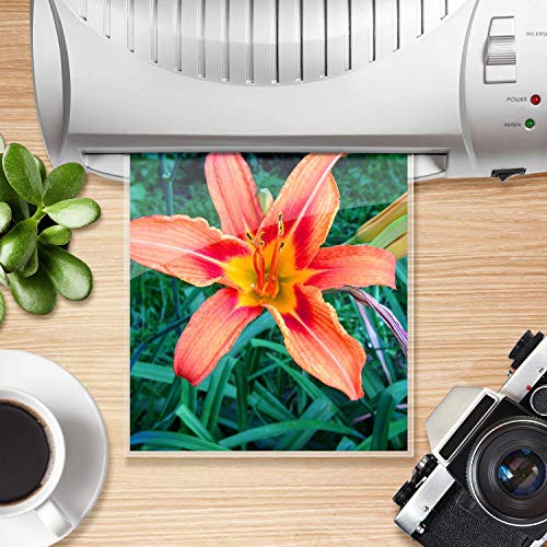 MARIGOLD 200Pack Thermal Laminating Pouches 3 mil Letter Size, 9"x11