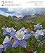 Flowers 2015 Gallery Calendar (Workman Gallery Calendar)