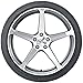 Nexen NFera SU1 Radial Tire - 205/40R16 79W