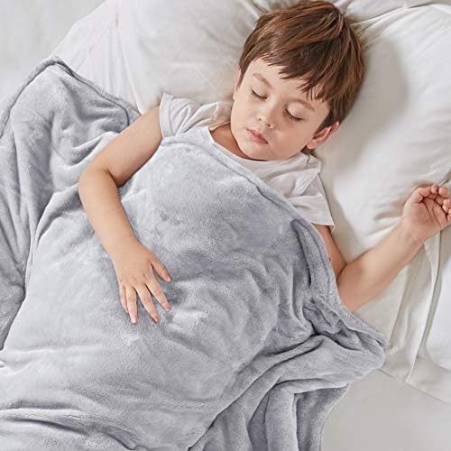 Degrees Of Comfort Kids Weighted Blanket with Cover, 1 x Cozyheat Minky Plush, 1 x Coolmax