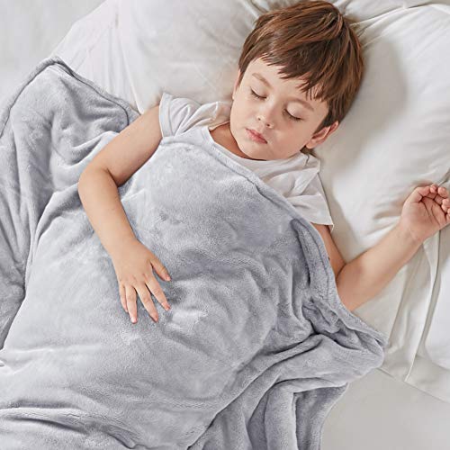 Degrees of Comfort Kids Weighted Blanket with Cover, Toddler Heavy