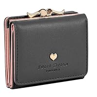 Damara Womens Metal Frame Kiss-lock Small Clutch Cards Holder Wallet,Black