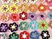 20pc Assorted Six Petals 2.17