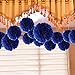 10pcs Royal Blue Tissue Hanging Paper Pom-poms, Hmxpls Flower Ball Wedding Party Outdoor Decoration Premium Tissue Paper Pom Pom Flowers Craft Kit, 10 Inch