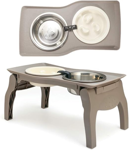 single elevated slow feed dog bowl