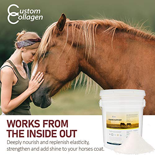 Custom Collagen Equine Joint Support Gelatin Plus Biotin Supplement for