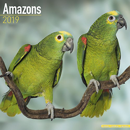 Amazon Parrot Calendar - Parrot Calendar - Bird Calendars - Calendars 2018 - 2019 Wall Calendars - Monthly Wall Calendar by Avonside