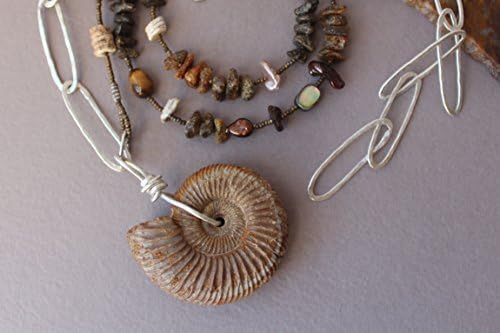 Jurassic Fossil Ammonite Necklace with Handmade Textured Silver Chain and Baltic Amber and Ancient and Antique Bead Strand