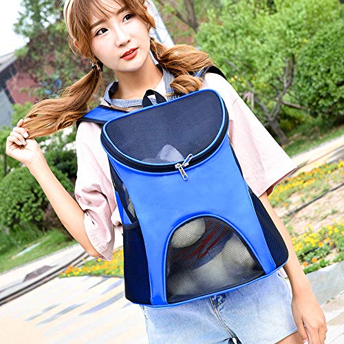 Pet Travel Carrier Backpack for Small Dogs and Cats up to 15lbs, Airline Approved, 4 Big Ventilation Window,Safety Features and Back Cushion Support(Blue)