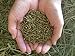Small Pet Select Rabbit Food Pellets - 5 Pounds Delivered Fresh