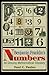 Benjamin Franklin's Numbers: An Unsung Mathematical Odyssey