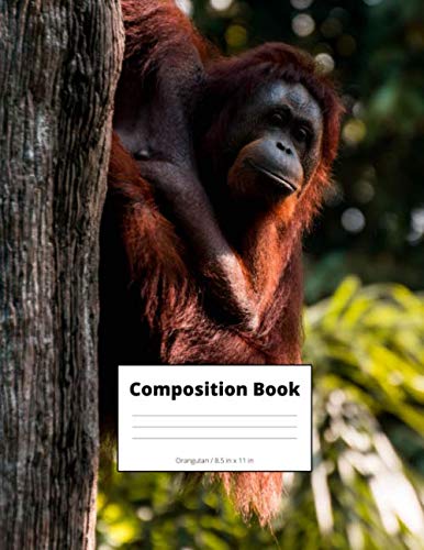 Composition Book Orangutan: Wide Ruled Composition Notebook for Orangutan Lovers Blank 100 sheets 200 pages 8.5in x 11in Monkeys Animals Journal