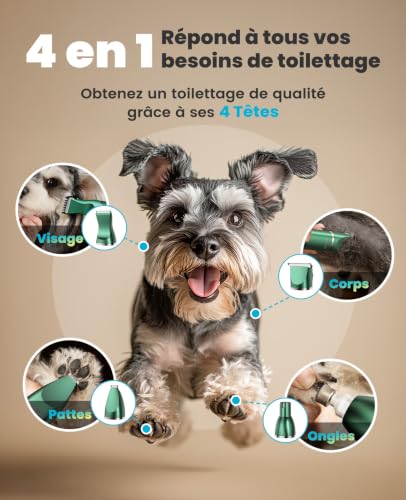 oneisall 4 in 1 Professional Dog Clipper, Silent Dog Clipper <49db, Cordless Dog Paws Clipper Paws Body Eyes Ears Face (Silver) (Green)