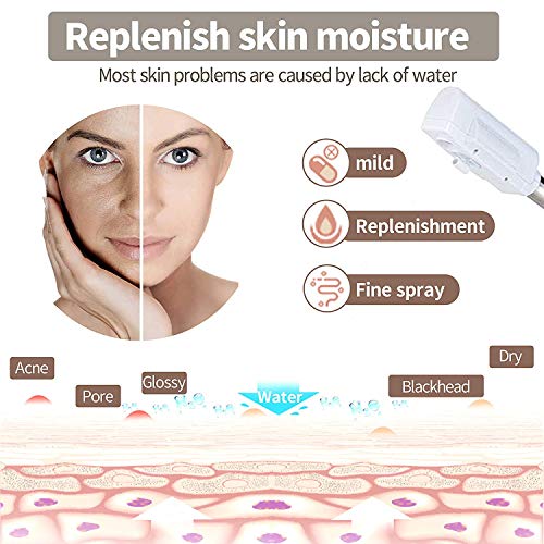 Professional Facial SteamerDakavia Ozone Aromatherapy Steamer for