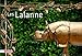 Les Lalanne by 