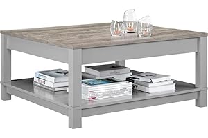 Ameriwood Home Carver Coffee Table, Gray