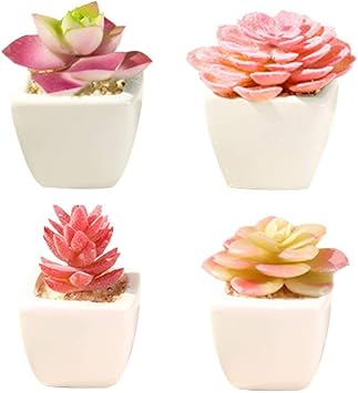 Amazon Fablcrew 4点セット ミニ多肉植物 人工観葉植物 卓上 陶器鉢 フェイクグリーン かわいい 観葉植物 フェイク 造花 インテリア フェイクフラワー 鉢植え 世話のいらない 水やり不要 オフィス ホーム スクール 撮影道具 枯れない Fablcrew 人工観葉植物