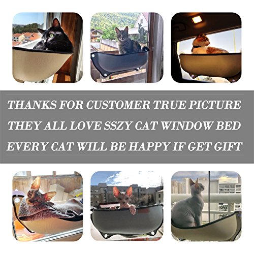 SSZY Cat Window Bed, Cat Window Perch, Cat Car Hammock EZ Mount Sunny