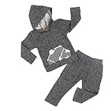 Lankey Toddler Infant Baby Boys Hoodie Tops Sweatsuit Pants Long Sleeve Outfits Set(12-18 Months)