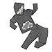 Lankey Toddler Infant Baby Boys Hoodie Tops Sweatsuit Pants Long Sleeve Outfits Set(12-18 Months)