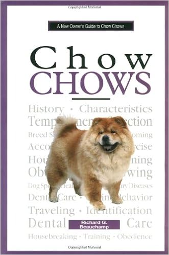 A New Owners Guide to Chow Chows (New Owners Guide To...) �n�[�h�J�o�[  - 1998/1/1