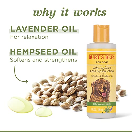 BURT’S BEES FOR PETS CALMING HEMP PAW & NOSE LOTION – BURT’S BEES DOG LOTION BURT’S BEES DOG PAW BALM WITH HEMP SEED OIL & LAVENDER MADE WITH NATURALLY DERIVED INGREDIENTS – PH BALANCED FOR DOGS, 4 OZ
