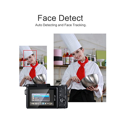 Powpro Pcad PP-R2 Full HD Camcorder 1080p Digital Camera 24.0M 3 Inch Screen 180 Degree Rotation Video Recorder