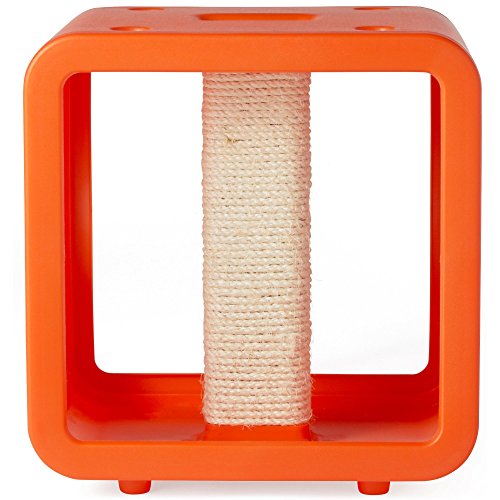 kitty kasas gym cube