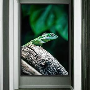 signwin Framed Canvas Wall Art Reptile Contemporary Dramatic...