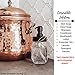 The Southern Jarring Co. Black Stainless Steel Mason Jar Liquid Soap Dispenser Lids (2) - Rustproof - Modern Farmhouse Soap Pumps for Kitchen and Bathroom