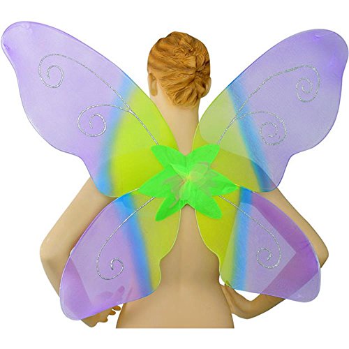 Adult Colorful Butterly Costume Wings