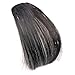 Smilco Mini Ultra Thin Fake Hair Bangs Extensions Clip In Bangs Fringe Front hair extensions (Natural Black)