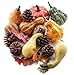 Factory Direct Craft Artificial Autumn Gourds, Pumpkins and Natural Pine Cones - Fall Decorating Kit