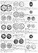 Standard Catalog of World Coins, 2015: 1901-2000 (Standard Catalog, 2015)