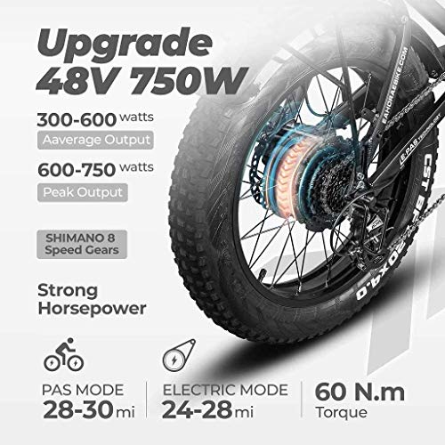 Eahora X5 750W Folding Fat Tire Electric Bicycle 48V Commuter Electric