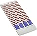 Patrotic Tyvek Wristbands (100/Pkg)