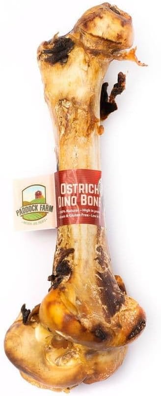Paddock Farm Ostrich Bone for Dogs Large Breed Natural Chew