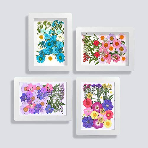 Yakuin 53 PCS Real Dried Pressed Flowers Leaves Petals Colorful Daisies for DIY Candle Resin Jewelry Nail Pendant Crafts Making Art Floral Decors