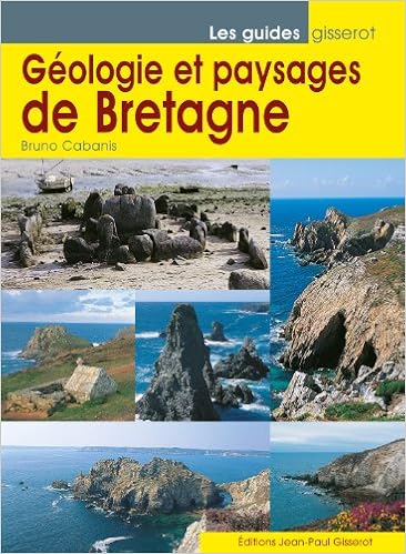 Amazonin Buy Geologie Et Paysages De Bretagne Book Online - 