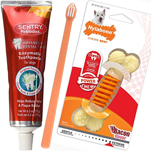 bacon flavored dog toothpaste