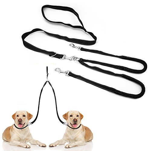 hipidog shock collar