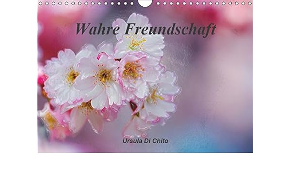 Get Freundschaft zitate For Android Freundschaft Zitate