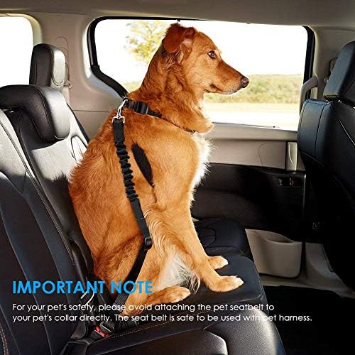 Pawsafe seat belt amazon Clearance