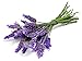 Lavender Essential Oil 4 oz 100% Pure Natural OrganicTherapeutic Undiluted Steam Distilled Top Grade A For Baby Hair Bath Candle Perfume Sleep Lavender oil By Organic Pure Oil