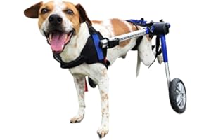 Walkin' Wheels Dog Wheelchair - for Medium Dogs 26-49 lbs - Veterinarian Approved - Dog Wheelchair for Back Legs