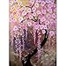 AIRDEA DIY Tree Diamond Painting Kits for Adults Kids, Full Drill Round Diamond Painting Flowers Art Kits for Beginners 5D Gem Art Painting Embroidery Rhinestone Arts for Home Wall Art Decor 30x40 cm