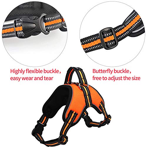 baobë Adjustable Outdoor Pet Vest Light Weight Dog Harness Dogs Leash Set with Reflective Oxford Material for Large Medium Dogs Outdoor Training Walking