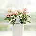 HHCC Xiaomi 4 in 1 Plant Flower Care Smart Monitor, White