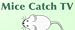 Mice Catch TV